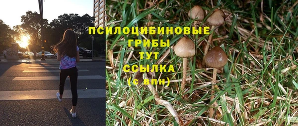 гидропоника Абинск